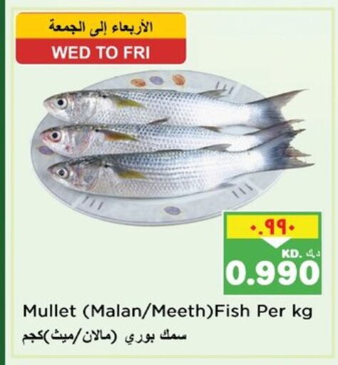 available at Nesto Hypermarkets in Kuwait - Kuwait City