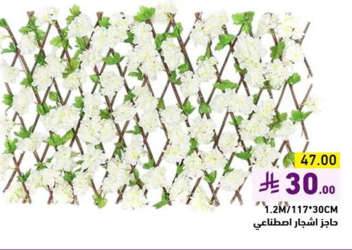 available at أسواق رامز in مملكة العربية السعودية, السعودية, سعودية - تبوك