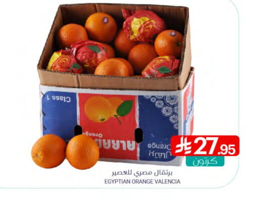 Orange from Egypt available at Muntazah Markets in KSA, Saudi Arabia, Saudi - Qatif