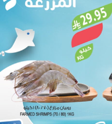 available at المزرعة in مملكة العربية السعودية, السعودية, سعودية - أبها
