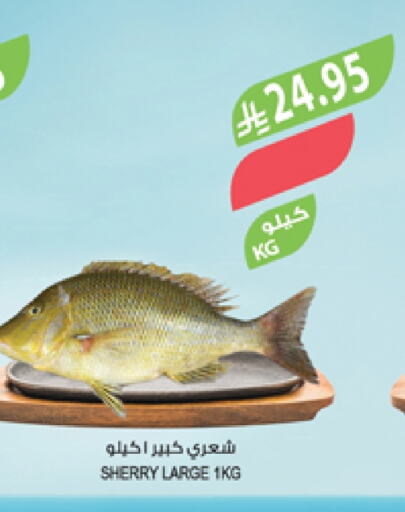 available at المزرعة in مملكة العربية السعودية, السعودية, سعودية - أبها