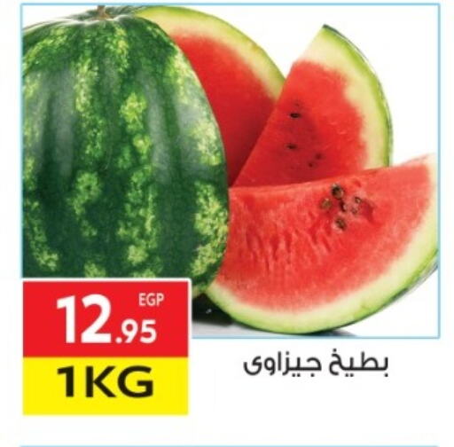 بطيخ available at المحلاوي ماركت in Egypt - القاهرة