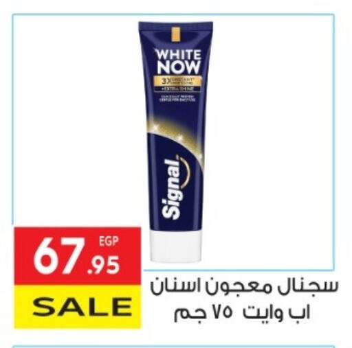 العناية بالأسنان in المحلاوي ماركت, Egypt Offers - Egypt سيجنال معجون أسنان available at المحلاوي ماركت in Egypt - القاهرة