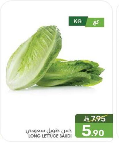Fresh Vegetables in Mazaya, Saudi Arabia Offers - Saudi Arabia Lettuce from Saudi Arabia available at Mazaya in KSA, Saudi Arabia, Saudi - Saihat
