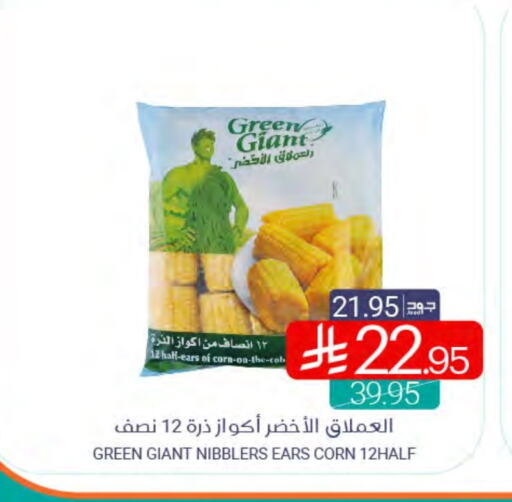 available at Muntazah Markets in KSA, Saudi Arabia, Saudi - Saihat
