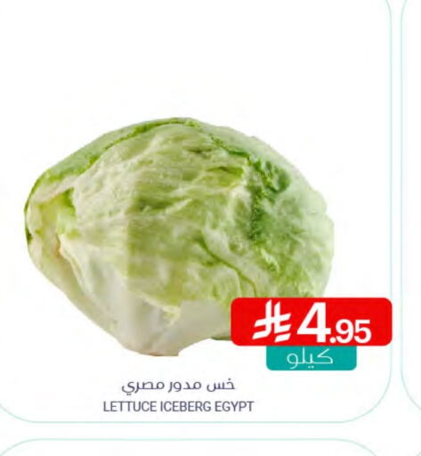 Lettuce from Egypt available at Muntazah Markets in KSA, Saudi Arabia, Saudi - Qatif