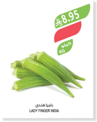 الخضروات الطازجة in المزرعة, المملكة العربية السعودية Offers - المملكة العربية السعودية بامية from India available at المزرعة in مملكة العربية السعودية, السعودية, سعودية - الباحة