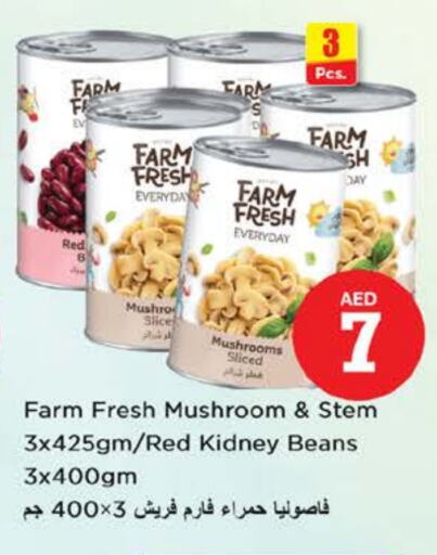 أغذية معلبة ومغلفة in نستو هايبرماركت, UAE Offers - الإمارات العربية المتحدة Mushroom available at نستو هايبرماركت in الإمارات العربية المتحدة , الامارات - دبي