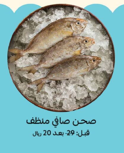 available at Mazaya in KSA, Saudi Arabia, Saudi - Qatif