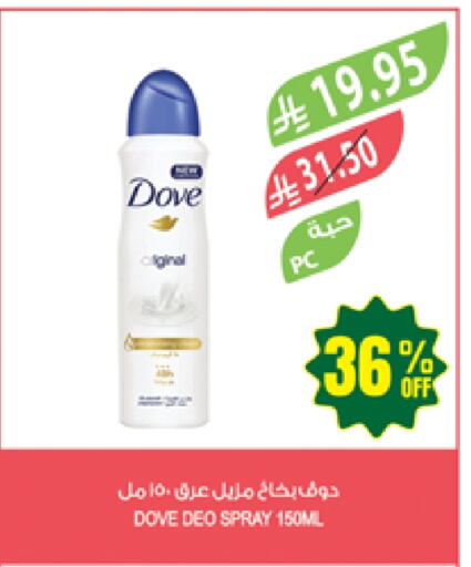 DOVE available at Farm  in KSA, Saudi Arabia, Saudi - Arar