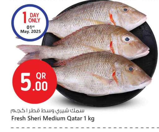 available at سفاري هايبر ماركت in قطر - الخور