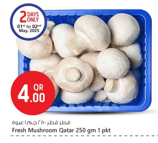 Mushroom from Qatar available at سفاري هايبر ماركت in قطر - الشمال