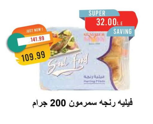 سمك مجمد in مترو ماركت, Egypt Offers - Egypt available at مترو ماركت in Egypt - القاهرة