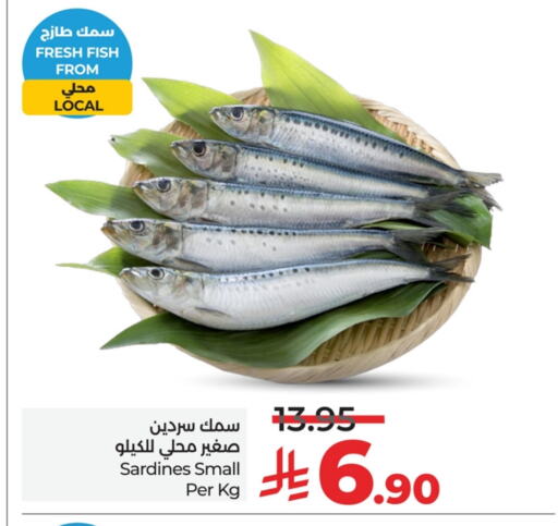 Fresh Fish in LULU Hypermarket, Saudi Arabia Offers - Saudi Arabia available at LULU Hypermarket in KSA, Saudi Arabia, Saudi - Al Hasa