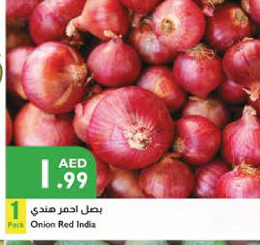 Onion from India available at Istanbul Supermarket in UAE - Al Ain