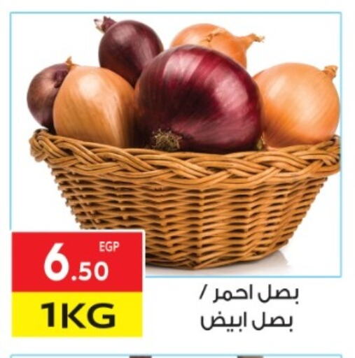 بصل available at المحلاوي ماركت in Egypt - القاهرة