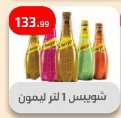 المشروبات الغازية in مؤسسة ايهاب البرنس, Egypt Offers - Egypt available at مؤسسة ايهاب البرنس in Egypt - القاهرة