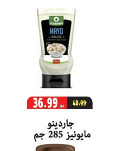 الصلصات والسبريد in السلطان هايبرماركت, Egypt Offers - Egypt مايونيز available at السلطان هايبرماركت in Egypt - القاهرة