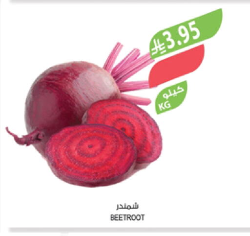 الخضروات الطازجة in المزرعة, المملكة العربية السعودية Offers - المملكة العربية السعودية شمندر available at المزرعة in مملكة العربية السعودية, السعودية, سعودية - الباحة