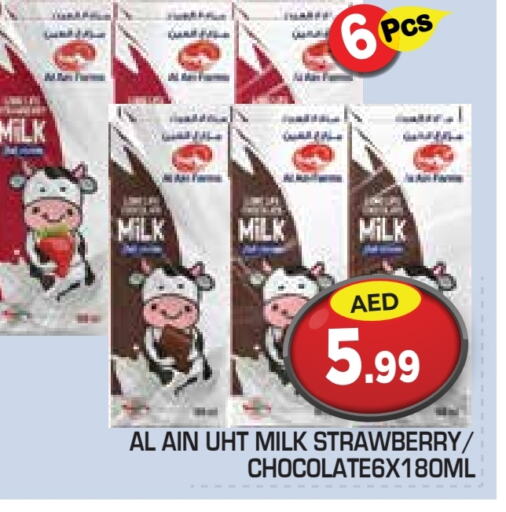 AL AIN Long Life / UHT Milk available at Baniyas Spike  in UAE - Al Ain