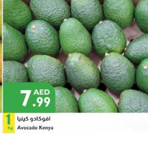Avacado from Kenya available at Istanbul Supermarket in UAE - Al Ain