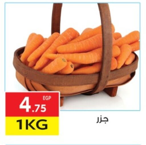 Carrot available at El Mahallawy Market  in Egypt - Cairo