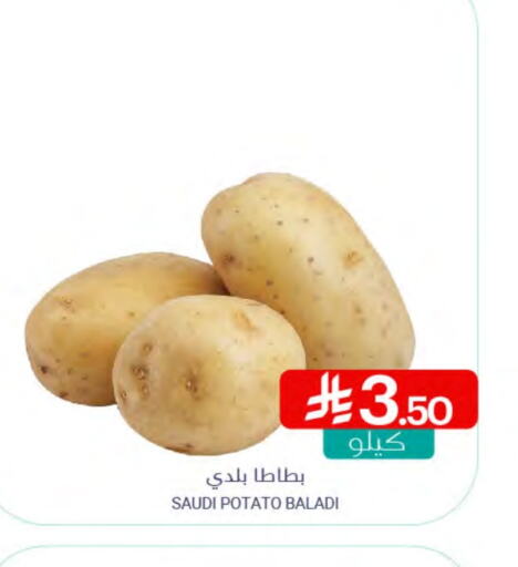 Potato from Saudi Arabia available at Muntazah Markets in KSA, Saudi Arabia, Saudi - Qatif