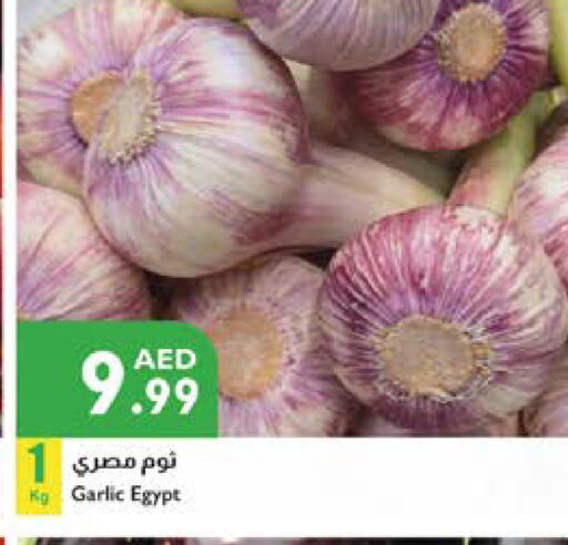 الخضروات الطازجة in إسطنبول سوبرماركت, UAE Offers - الإمارات العربية المتحدة ثوم from Egypt available at إسطنبول سوبرماركت in الإمارات العربية المتحدة , الامارات - ٱلْعَيْن