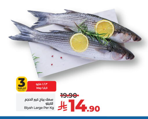 Fresh Fish in LULU Hypermarket, Saudi Arabia Offers - Saudi Arabia available at LULU Hypermarket in KSA, Saudi Arabia, Saudi - Hail