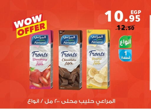 المراعي حليب بنكهات available at بنده in Egypt - القاهرة