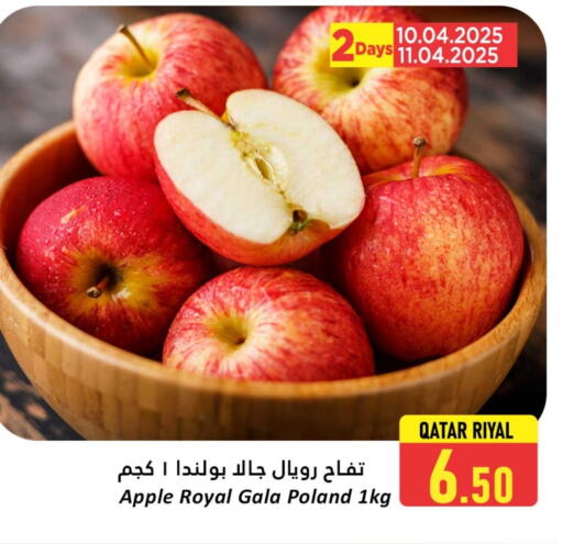 تفاح from Poland Qatar available at دانة هايبرماركت in قطر - الشمال