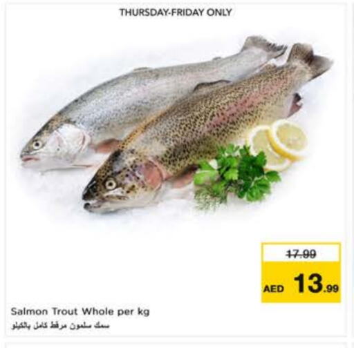 available at Nesto Hypermarket in UAE - Fujairah