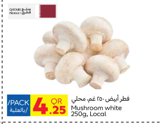 Mushroom from Qatar available at Carrefour in Qatar - Doha
