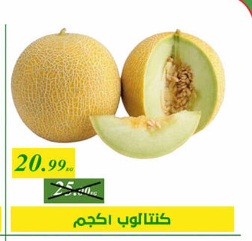available at Green Tree Hypermarket - Sohag in Egypt - Cairo