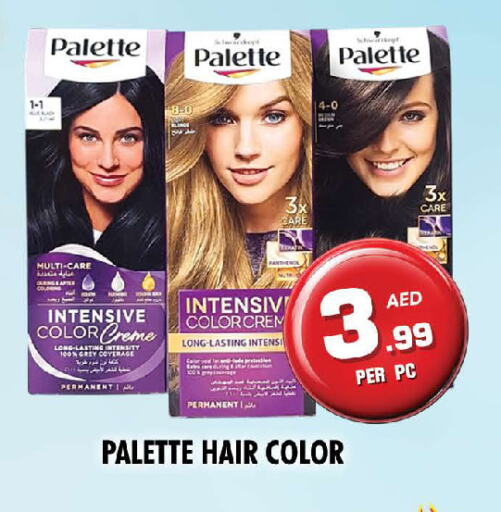 Hair Care in NIGHT TO NIGHT DEPARTMENT STORE, UAE Offers - United Arab Emirates PALETTE Hair Colour available at NIGHT TO NIGHT DEPARTMENT STORE in UAE - Sharjah / Ajman