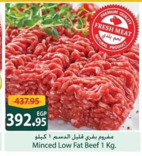 Meat - Fresh & Chilled in Spinneys , Egypt Offers - Egypt Beef available at Spinneys in Egypt - Cairo