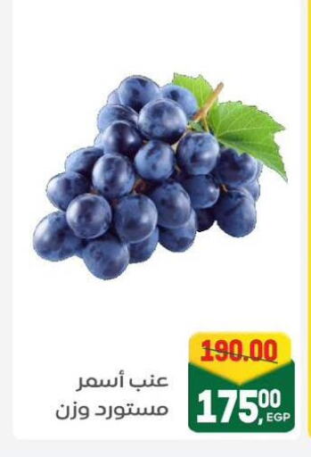 فاكهة طازجة in جلهوم ماركت, Egypt Offers - Egypt عنب available at جلهوم ماركت in Egypt - القاهرة