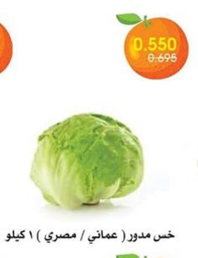 Fresh Vegetables in Al Rawda & Hawally Coop Society, Kuwait Offers - Kuwait available at Al Rawda & Hawally Coop Society in Kuwait - Kuwait City