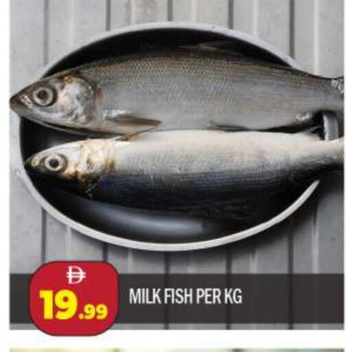 available at BIGmart in UAE - Abu Dhabi
