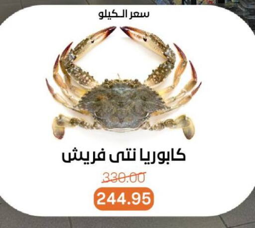 available at Beit El Gomla in Egypt - Cairo