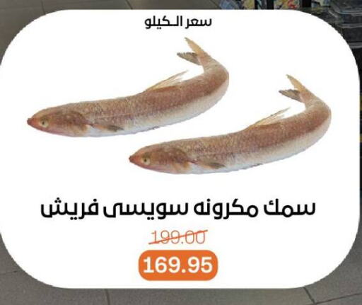 available at Beit El Gomla in Egypt - Cairo