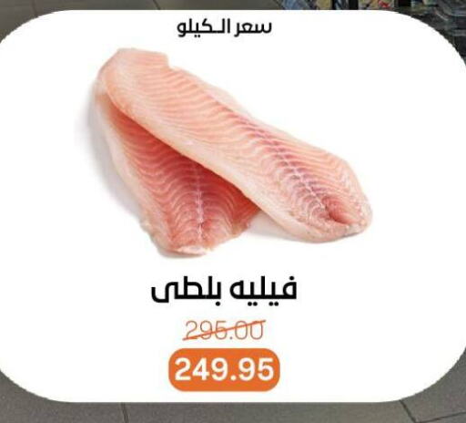 available at Beit El Gomla in Egypt - Cairo