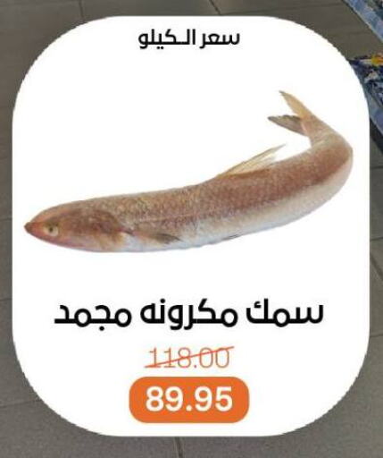 available at Beit El Gomla in Egypt - Cairo
