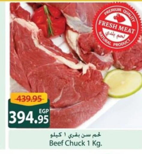 Meat - Fresh & Chilled in Spinneys , Egypt Offers - Egypt Beef available at Spinneys in Egypt - Cairo