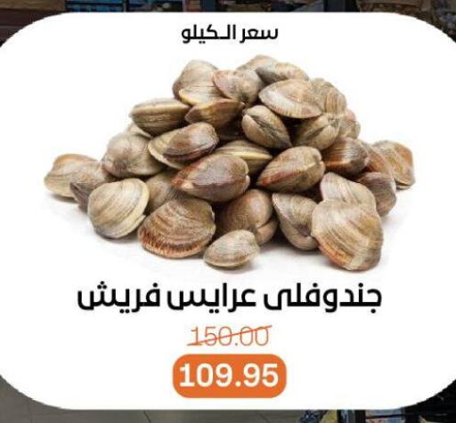 available at Beit El Gomla in Egypt - Cairo