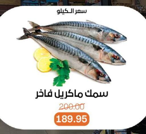 available at Beit El Gomla in Egypt - Cairo