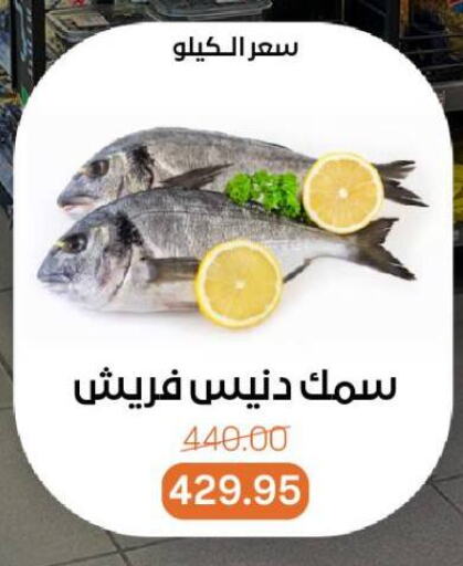 available at Beit El Gomla in Egypt - Cairo