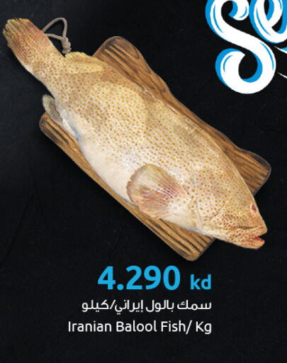 available at The Sultan Center in Kuwait - Ahmadi Governorate