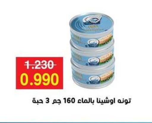 تونة available at جمعية مدينة صباح الأحمد التعاونية in الكويت - محافظة الجهراء