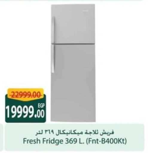 Large Appliances in Spinneys , Egypt Offers - Egypt FRESH Refrigerator available at Spinneys in Egypt - Cairo